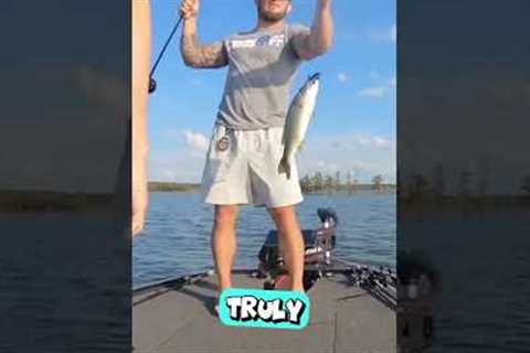 A Fish’s Clever Escape