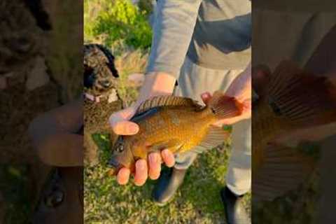 Catch and Cook after School!!