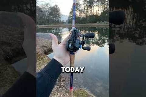Day 14 Fishing Every Day Of 2025! #jig #winterbass #jigfishing #bassfishing #fishing #bass #shorts