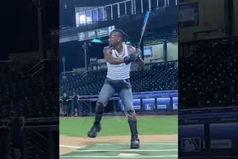 Antonio Brown in the MLB! ⚾️😂 #justbaseball #baseball #shortsviral #mlb #mlbhomeruns #mlbtv