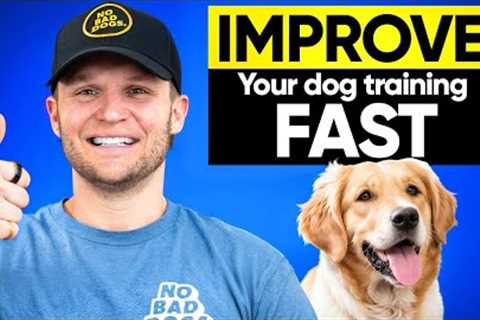 3 Game Changing tips to instantly improve your dog training