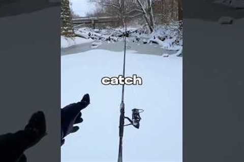 I Tried to Catch Fish in the Snow 🐟🎣 #fishing