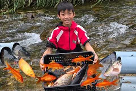 Bac’s survival skills, unexpectedly discovered strange fish while revisiting old fish traps.