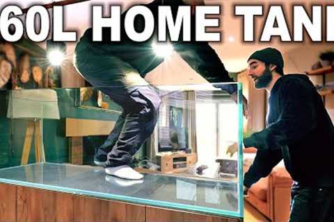 Building A Home Community Aquarium (EP2)