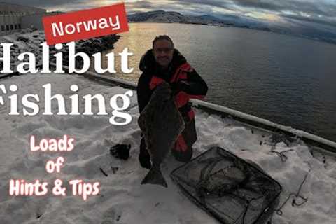 Step by Step Guide on Halibut and Cod fishing at Sandviberget, shore fishing Norway.