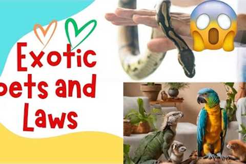 Unleashing the Truth: Exotic Pets and Legal Responsibilities