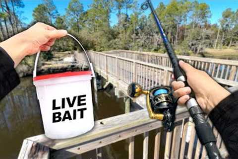 Fishing a HIDDEN Saltwater Bridge.. (Catch and Cook)