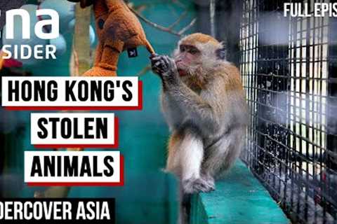 Hong Kong's Deadly Underground Animal Trade | Undercover Asia | CNA Documentary