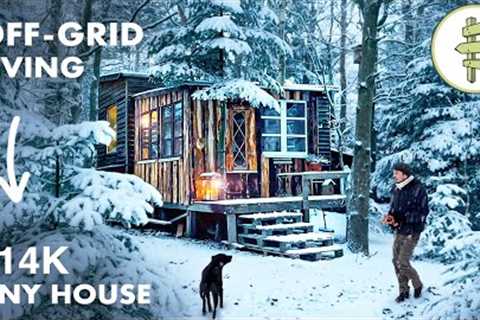 Self-Sufficient Man Built an Off-Grid Tiny House Homestead &amp; Lives on a Minimal Budget