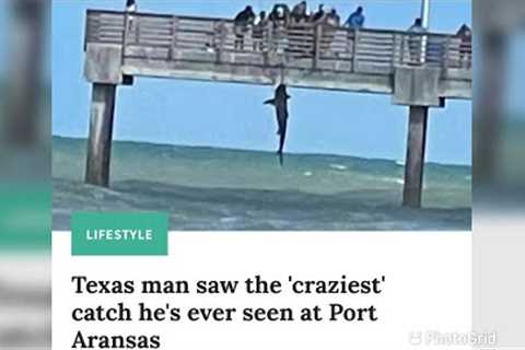 🤯 I SAW THE CRAZIEST CATCH EVER FROM FISHING PIER! SUBSCRIBE FOR MORE 🎣#Shorts