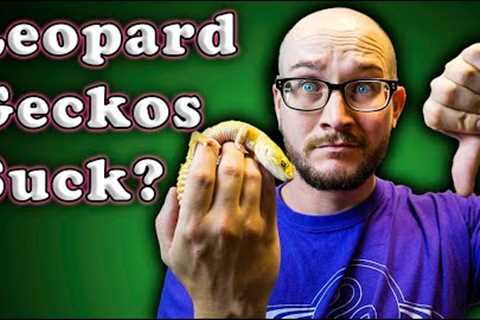 DO NOT GET A LEOPARD GECKO | Get These Lizards Instead!