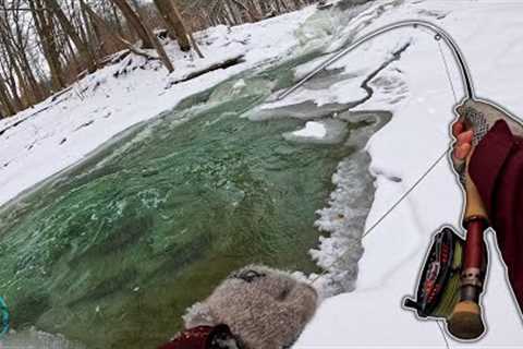 Fly Fishing Ice Filled Creeks for Huge Fish! (Erie Steelhead Pt 2)