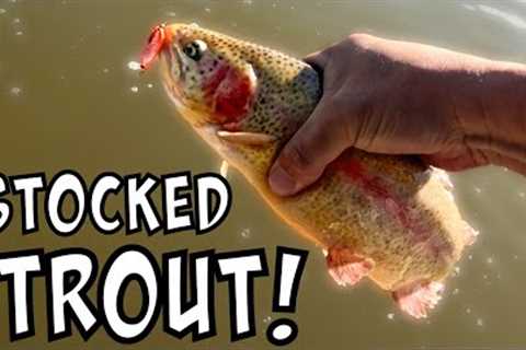 SoCal Stocked Trout Fishing! [Yorba Regional Park]