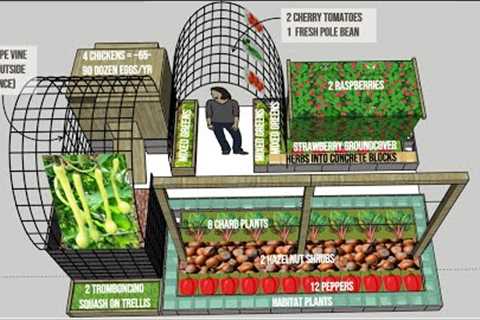 An Example Garden Design to Save on Grocery Costs
