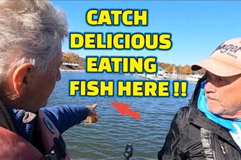 FISHING with LIVE WORMS to CATCH FISH for DINNER !!