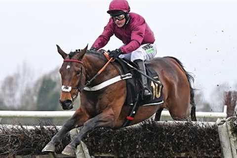 €1.4m buy PALLADIUM makes winning start for Henderson with workmanlike win