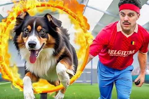I Competed in a Dog Agility Championship 🦮🏆