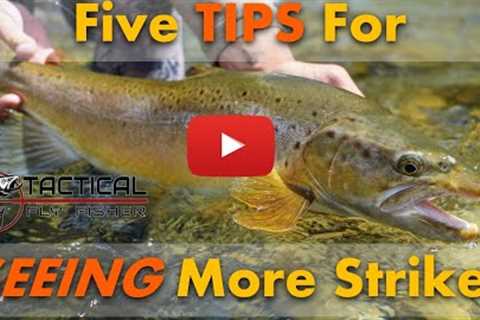 5 tips for SEEING more Euro nymphing strikes