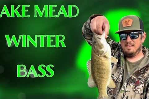 Winter Bass fishing at Echo Bay, Lake Mead.