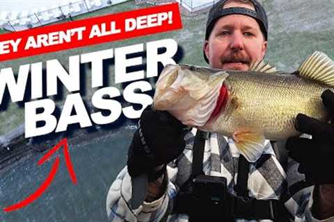 Winter Bass Fishing Tactics for Lake Conroe