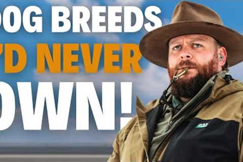 The 3 Dog Breeds I WOULD NEVER OWN As a Dog Trainer