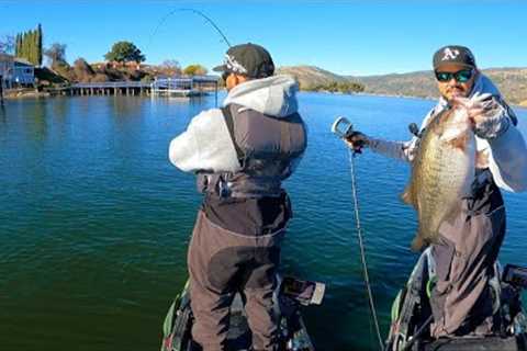 Clear Lake Bass NEVER Stop Eating!