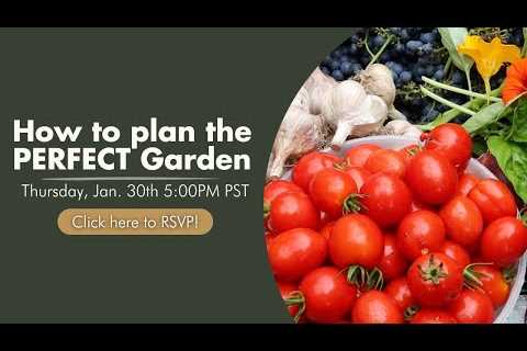 🔴 LIVE: How to Plan the PERFECT Garden