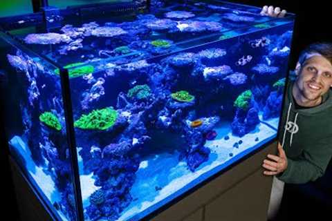 Indoor Ocean - My Saltwater Coral Reef Marine Aquarium