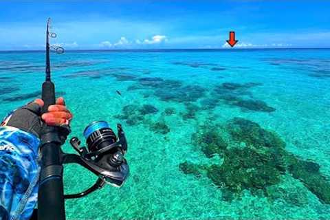 Fishing Australia's FAMOUS *Great Barrier Reef* for our Dinner! [Catch, Clean, Cook]