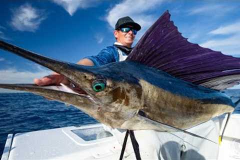 GIANT Sailfish! Dream Day Offshore! Catch Clean Cook (Sailfish)