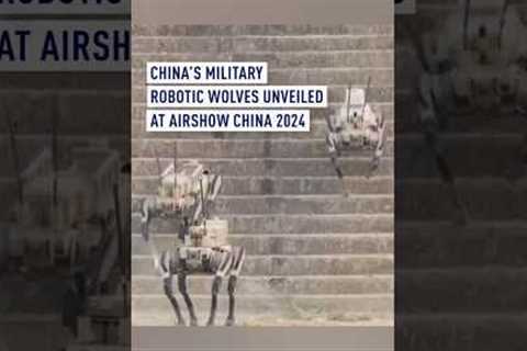 China's military robotic wolves unveiled at Airshow China 2024
