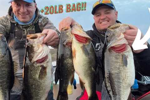 Lake Kissimmee PRE-SPAWN Winter Fishing For HUGE BASS