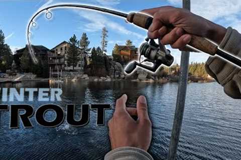 Trout Fishing Big Bear Lake: Catch &amp; Cook