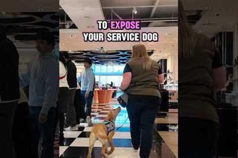 Critical Service Dog Training Tip‼️