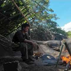 3 days building a shelter Survival finding food in the forest - survival skills