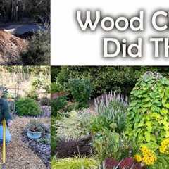 Wood Chips Quickly Changed My Soil - Organic Gardening