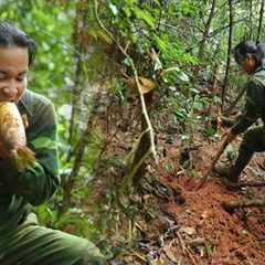 Harvesting Bamboo Shoots on Cold Rainy Days, Growing Luffa: River Survival | EP.438