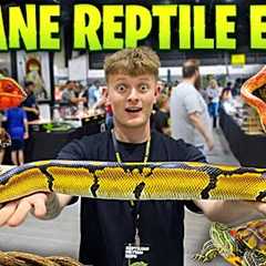 I SPENT 3,000$ AT THIS REPTILE EXPO! *INSANE*