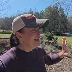 Garden Pruning Made Easy with Mimi