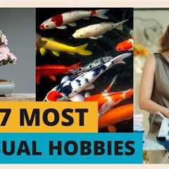 Top 7 Most Unusual Hobbies in the World