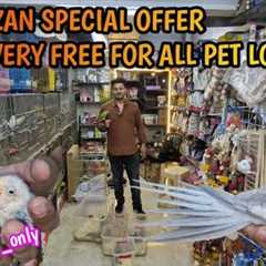 Grab This offers till Ramzan wajid exotic [9082483710] #exoticbirdsshop #birdslover