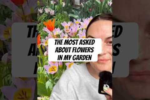 These are the flowers in my garden that I get the most questions about #garden #beginnergardener