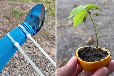 12 Simple Gardening Tips and Tricks