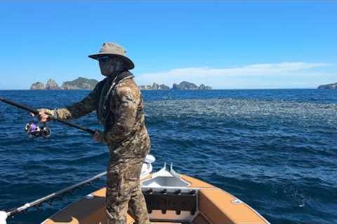 Nato Wants to Catch a Yellowfin Tuna Too