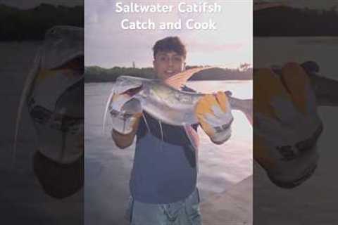 VENOMOUS Saltwater Catfish Catch And Cook