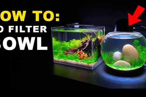 HOW TO: NO FILTER BOWL AQUARIUM SETUP || MD FISH TANKS