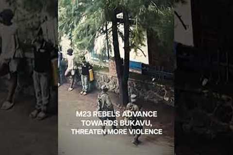 More Than 700 People Killed in 7 Days as Fighting Intensifies in DR Congo | N18G