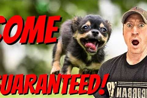 STEP By STEP Guide To Training Your Dog To Come Every Time!
