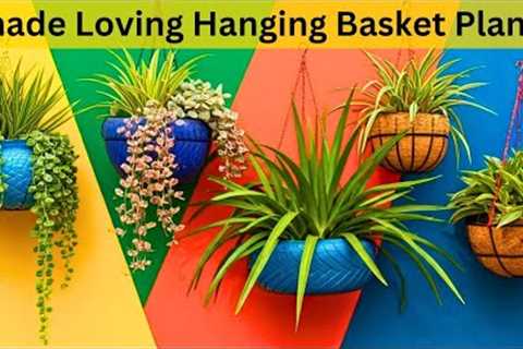 Shade loving hanging basket plants | Easy to grow plants for hanging baskets #garden