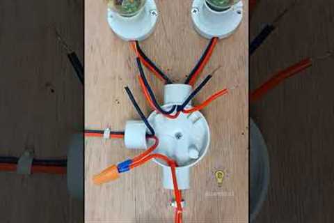 👷One Gang switch with Two lights Wiring #electricalwiring #wiring #electrical #camtips1 #asmr #diy